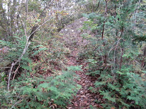 20181009hike (148)